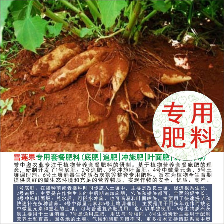 50�����а�ѩ����ר���л��ʸ��Ϸʵ׷�׷��Ҷ��ʳ�ʩ��ˮ�ܷ�