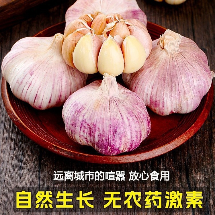 2024 季節のニンニクヘッド卸売乾燥ニンニク紫ニンニクヘッド乾燥ニンニク特大新鮮なニンニク卸売送料無料|undefined
