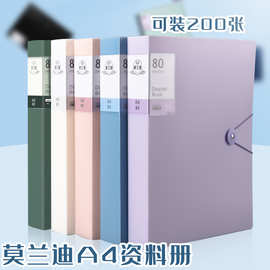 莫兰迪资料册新时尚搭扣资料册活页透明试卷收纳袋60页文件档案夹