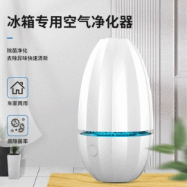 卷发/直发器;电子美容仪;洁面仪