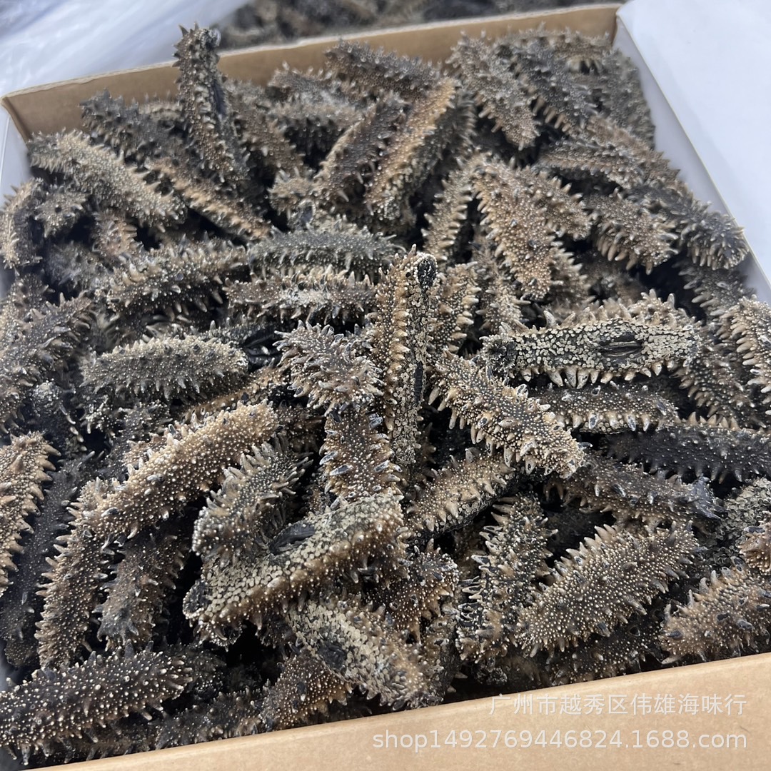 产地直销纯淡干关东参刺参 六排刺参 酒店专用辽刺海参干货