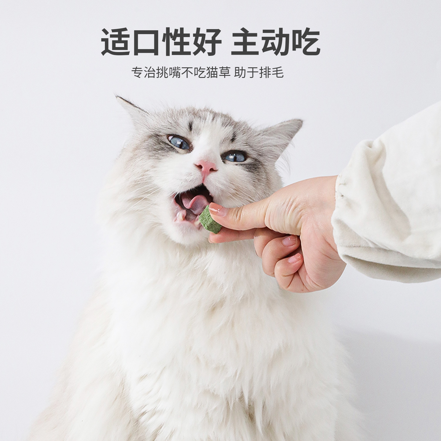 Peabody Peabody enlatado liofilizado hierba para gatos granulada bola de pelo menta para gatos dientes dientes de limpieza bocadillos para gatos al por mayor