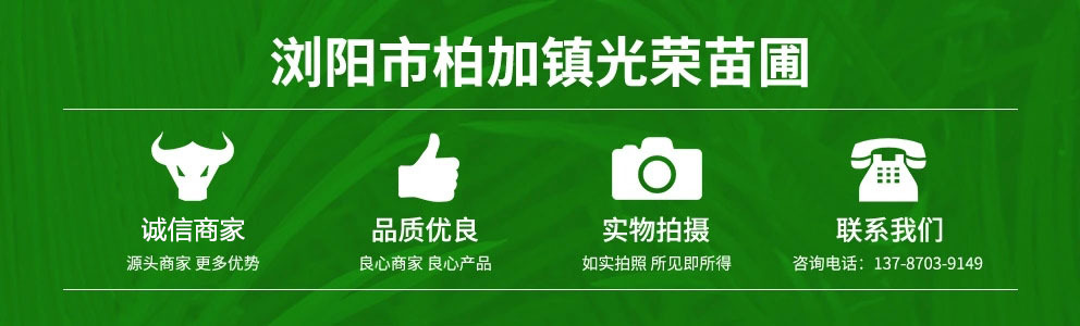 18737214096_1714319180.jpg_