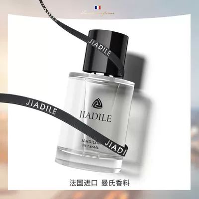 Car Perfume Aromatherapy — Special High-End Car Interior Fragrance