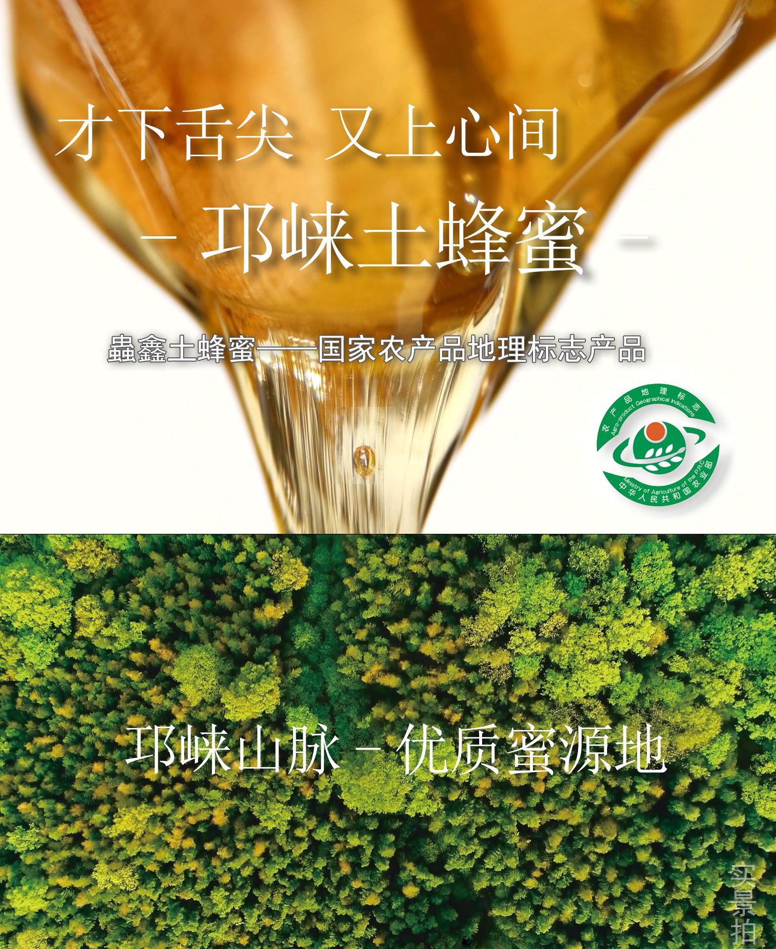 500g土蜂蜜寶貝詳情1_01