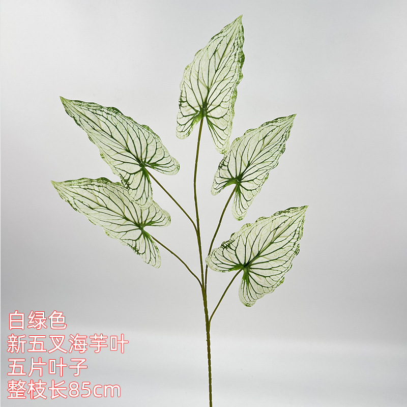 Nueva hoja de taro de cinco tenedores - verde blanco