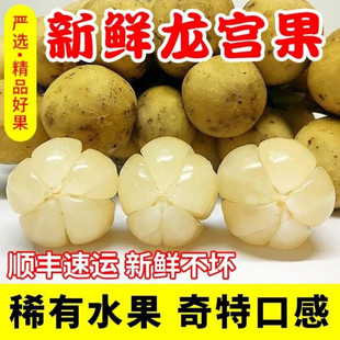 �V�ݽ������lֱ�l����S��̩���M�����m���������ؕ��ϡ��ˮ��