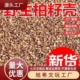 New Arrival of Cypress Seed Shell Pillow, Platycladus Seed Shell Pillow Core Filling, Pillowcase Liner, Pine and Cypress Shell Default Item Cotton