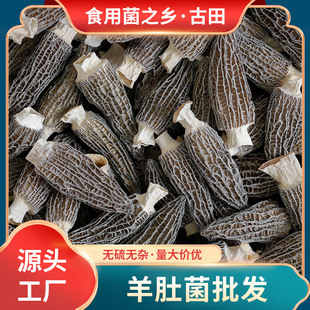 ������Ǿ�ɢ�b500g�F؛������Ǿ���؛ʳ�þ����Ҿ����Ģ���l