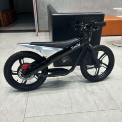 メーカーはロシアに 16inch 子供用電動自転車、スクーター、バランスカー、子供用自転車を輸出