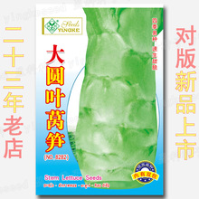 A~nSN  onĹS SN n ߲˷Nl