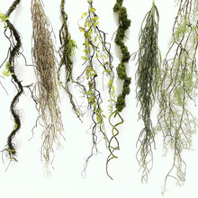 ̦�\���ٿ���ɭϵ�쾰�b[�ż��ٗl��̦�ٴ�����И�֦��ˇ