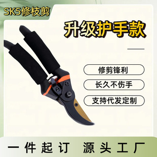 �羳��֦���๦�ܾ�����֦������֘�֦�޻����È@ˇ������ˇʡ��
