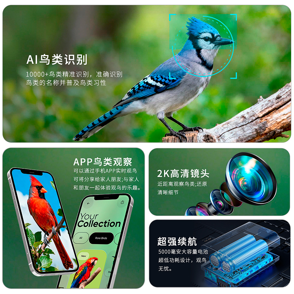 New smart bird feeder camera 2K-4K ultra-clear AI bird recognition outdoor solar pet feeder 2