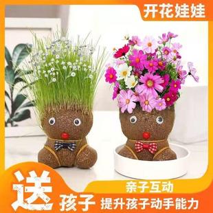 Blooming Grass Head Doll Small Potted Plant Watering All Year Round Grass Doll Kindergarten Hydroponic Students Easy to Grow Green Plants
