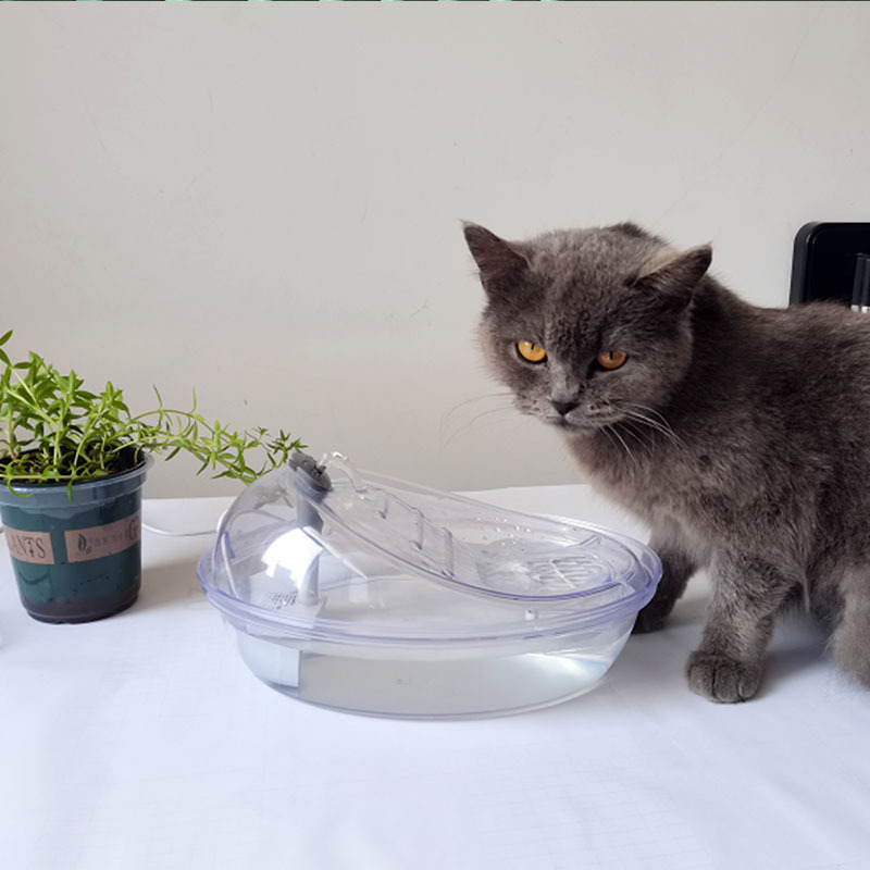 宠物饮水机透明沙丘猫狗喂水器自动循环流水过滤猫饮水器定制加工