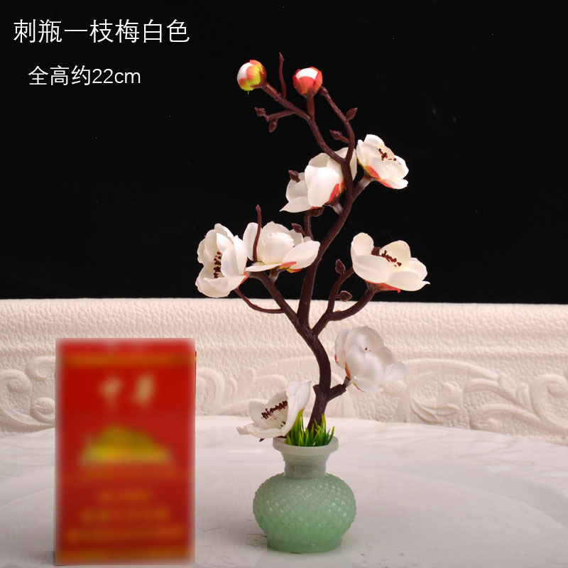 가시병 매화 흰색 가지