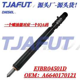 EJBR04501D A6640170121共轨喷油器 适用德尔福双龙享御2.0喷油嘴