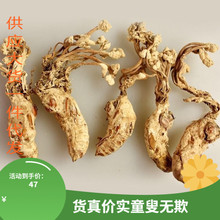 Ұs sӼ x s x sx sx sx