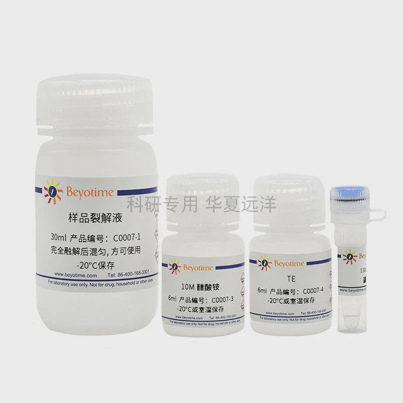 C0007-50次 细胞凋亡-DNA Ladder抽提试剂盒 碧云天