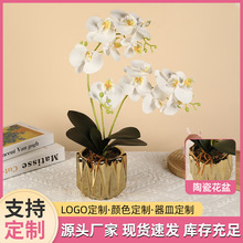 仿真蝴蝶兰简约轻奢假花陶瓷和PU花卉盆栽装饰摆件家居客厅装饰品