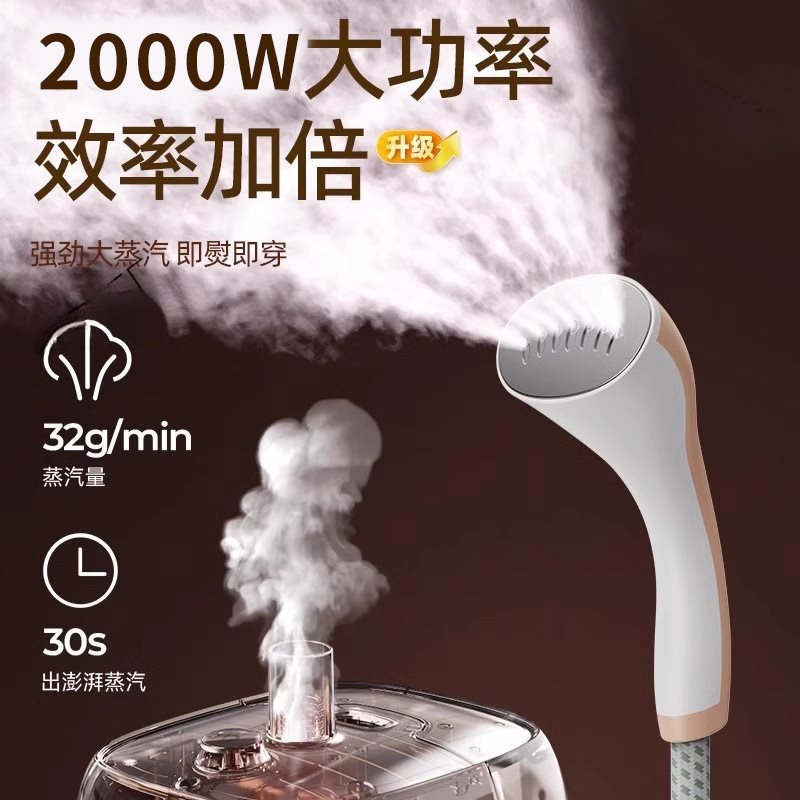 德国立式手持挂烫机2025新款家用商用服装店全自动蒸汽熨烫机熨斗|undefined