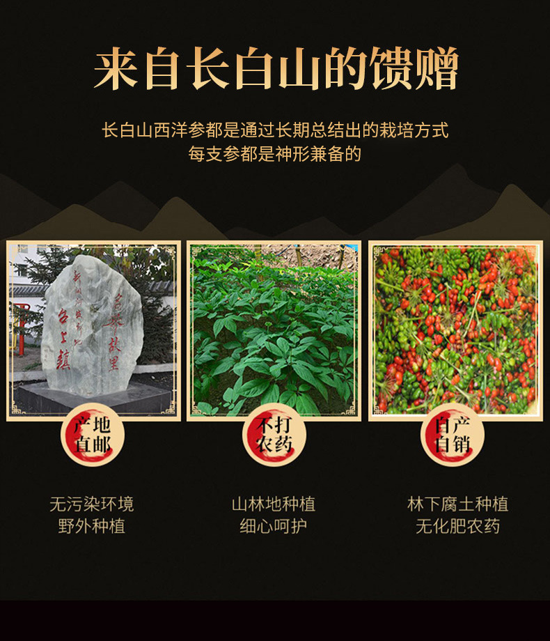 American Ginseng Slices Xi Yang Shen 500g Dried Root Slices for Tea and Cooking quality and texture