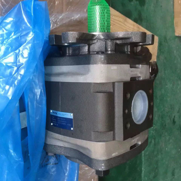 IPVP5-64 101福伊特VOITH现货供应IPVP5-50 101优势销售