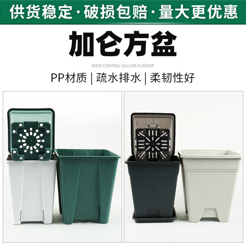 正方形青山控根盆蓝莓种植花盆塑料花盆大号加仑方盆黑色方形花盆
