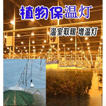 �»��܄�ֲ��̫ꖹⱣ�ؾGֲ�߲˟�������Ҽt�⾀��ȡů���؟�