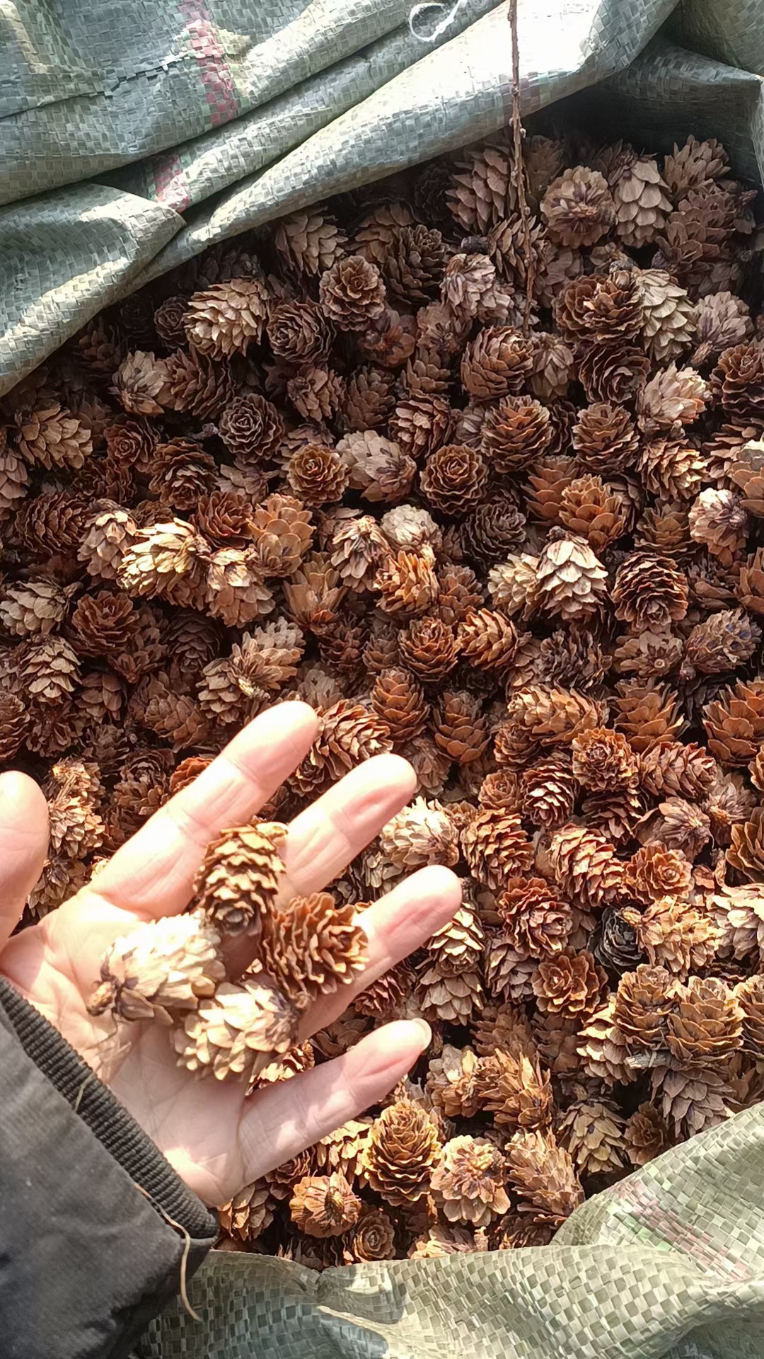 QQ图片20231228120526