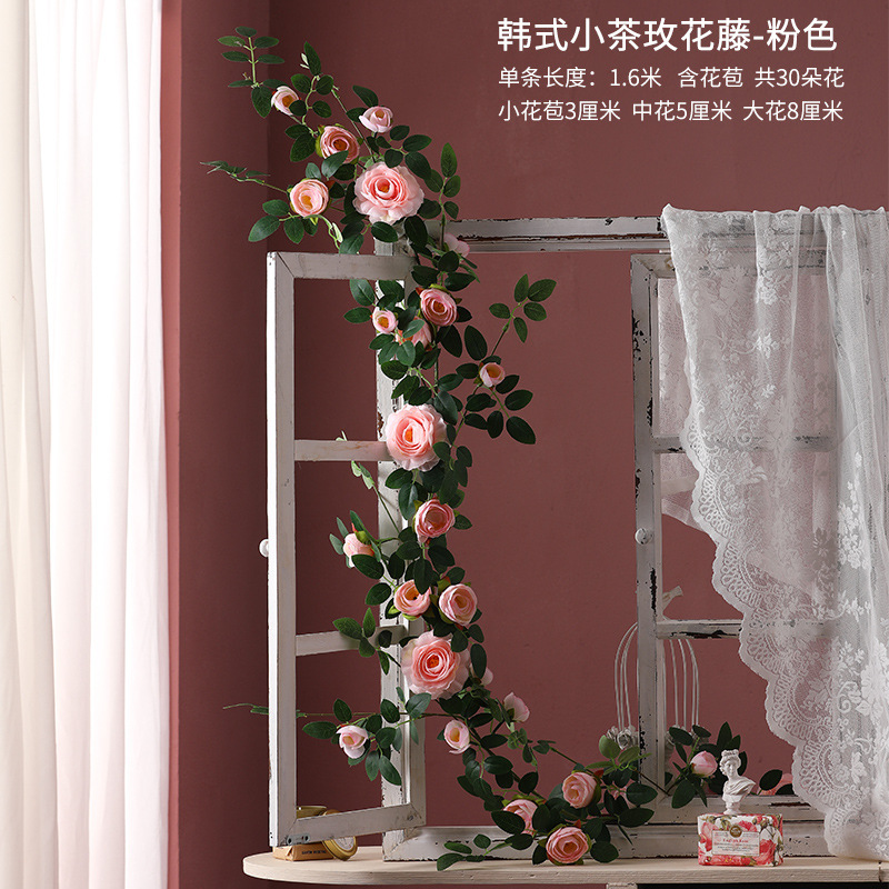 핑크 한국 차 장미 꽃 덩굴 1.75 미터