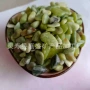 透水海蓝绿色水磨石洗米石