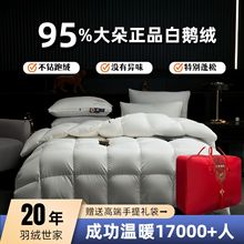 深睡五星级酒店羽绒被95白鹅绒冬被加厚保暖春秋一件起批