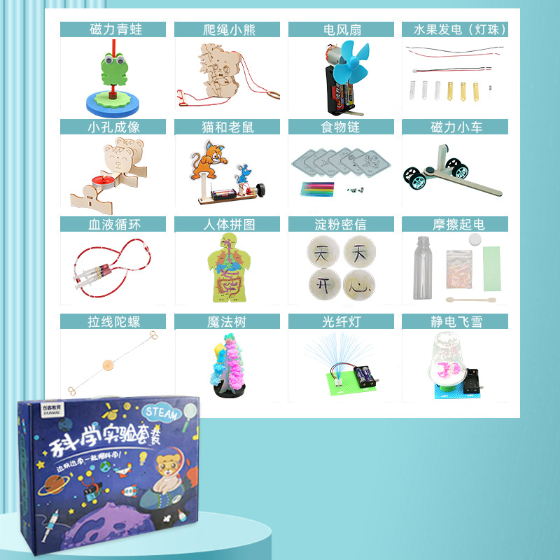 Juego de experimentos de ciencia para niños, juguetes de enseñanza de Steam, jardín de infantes para estudiantes, bricolaje, tecnología hecha a mano, pequeño regalo