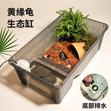 黄缘闭壳龟生态水陆两栖大号饲养箱造景套装半水龟带躲避龟缸