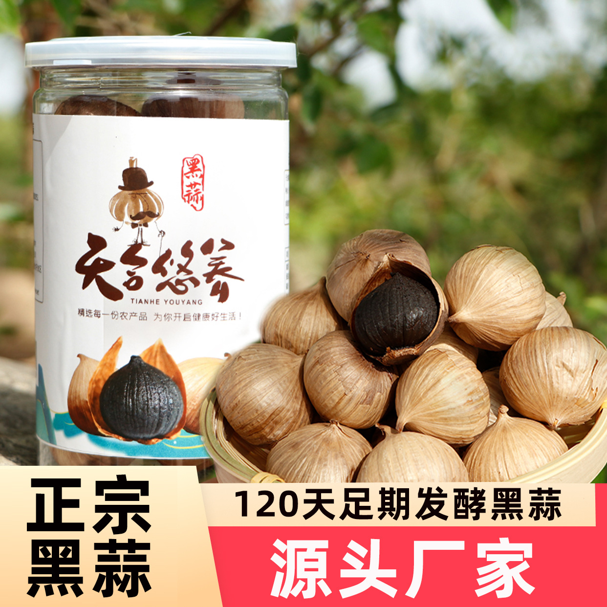 天合悠养黑蒜正宗独头黑蒜黑大蒜黑蒜头120天发酵源头工厂