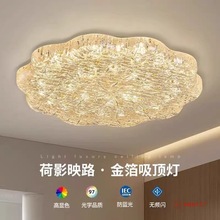 2025年新款高级卧室吸顶灯金箔轻奢创意花朵高端树脂主卧室led灯