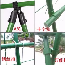 AQɿ۷Nֲ֧֧Bӿʮֿ䓹ܼͥ^䓽zܿ