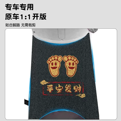 and Dustproof Wire Loop Foot – Electric vehicle foot mat