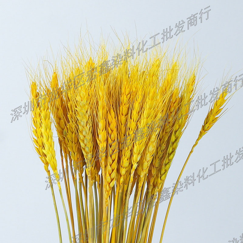 微信图片_20231230105751