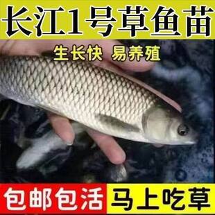�����ش�̖���~������Bֳ���~�烞�x���]���|���~��