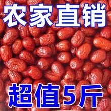 特大新疆大枣新疆红枣骏枣和田大枣五星六星果干全年常温