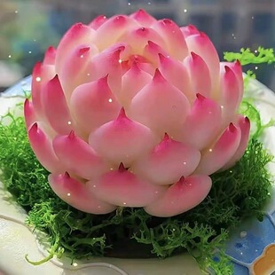 French Rose Succulent Plant Large 9cm Combination Potted Office Desk Balcony Outdoor Radiation Protection Easy to Maintain