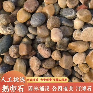 ��Ȼ�Z��ʯ���B�����·�@�־G���쾰ͥԺ��ɽ����ʯ׃�����Z��ʯ