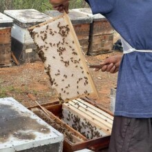 ����F؛���l�r���Ԯa�ٻ��۷䳲�۰ٻ��۷䳲��500g/��