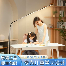 落地灯;其他专用灯具