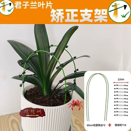 其他园林资材;园艺工具;园艺灌溉工具