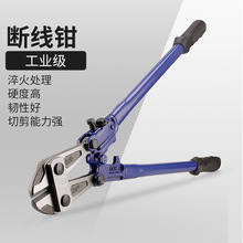 �������ྀ�Q���I����������Q���ք���|�F�z���i�Qʡ�������Q