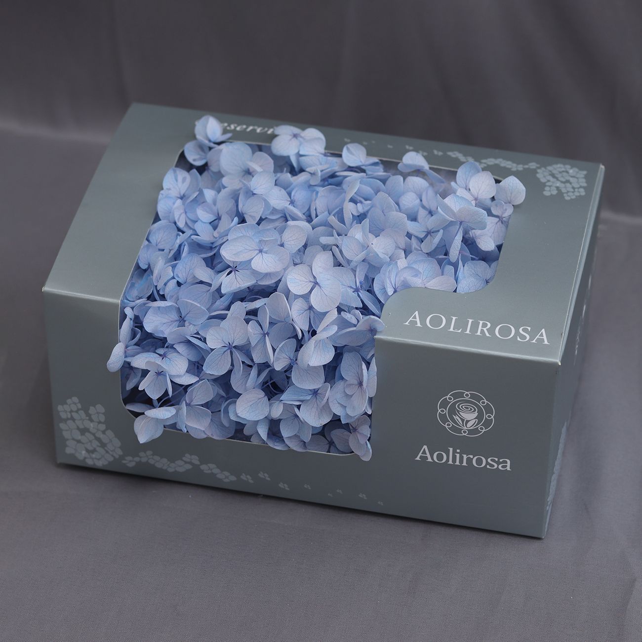 Grado A Anna Hortensia flor permanente flor seca Hortensia de hoja pequeña 20g Hortensia en caja fábrica al por mayor MATERIAL DE FLOR DE San Valentín